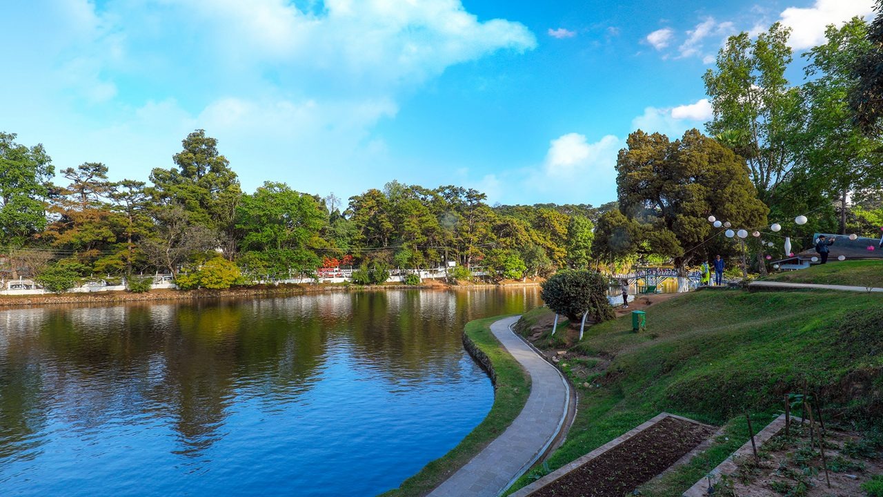 Ward’s Lake